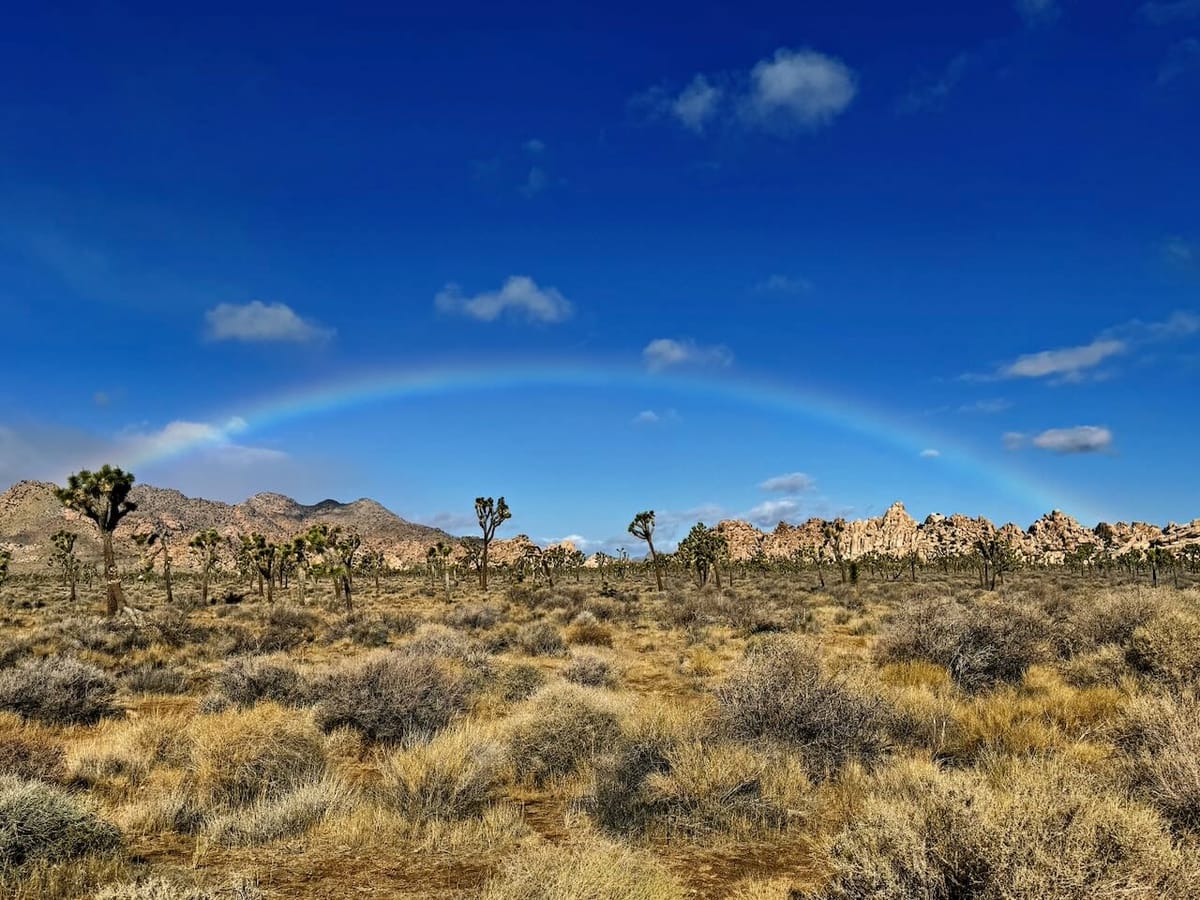 Can't spell rainbow without rain