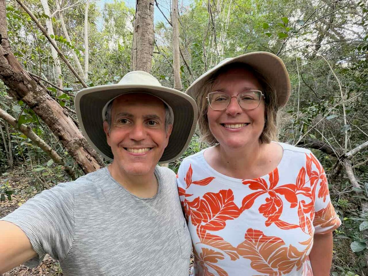 A swamp, not a jungle