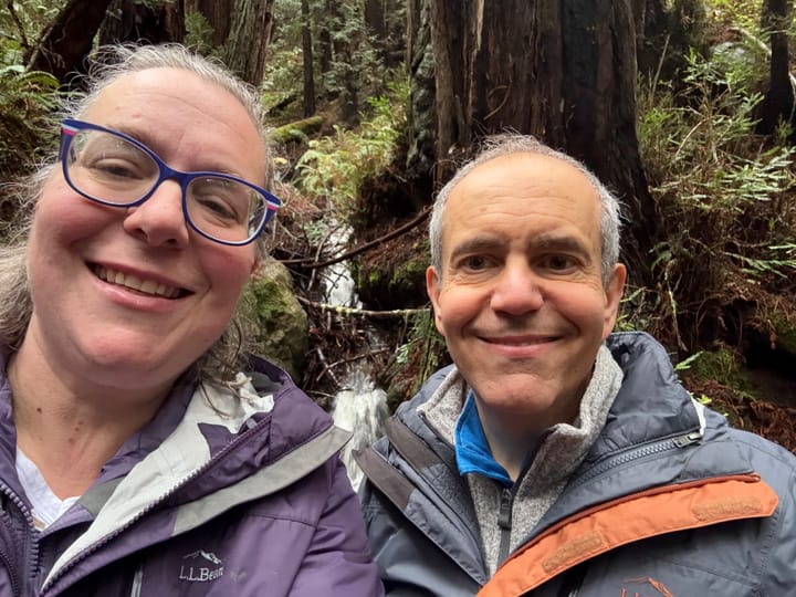 Over the river and through the woods